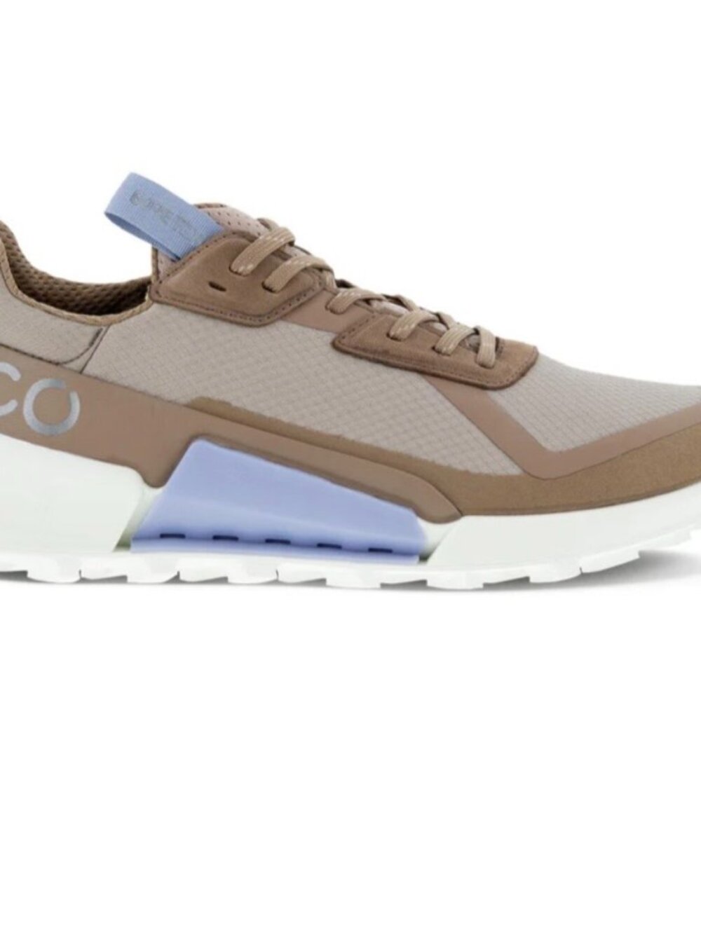 Ecco Biom 2.1 X Country Low Gtx Women's Shoes